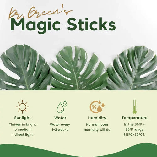 Magic Plant Grow Fertilizer Sticks - Buy 1 Get 1 Free